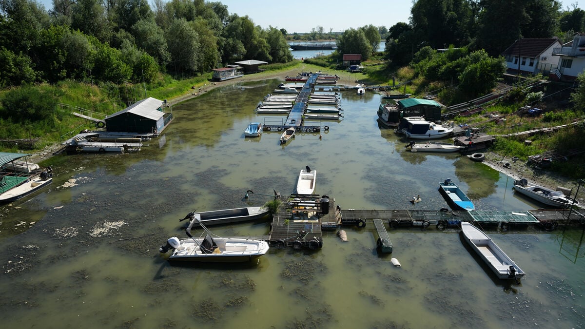 Europe’s major rivers run exceptionally low as drought hits Danube and Rhine again
