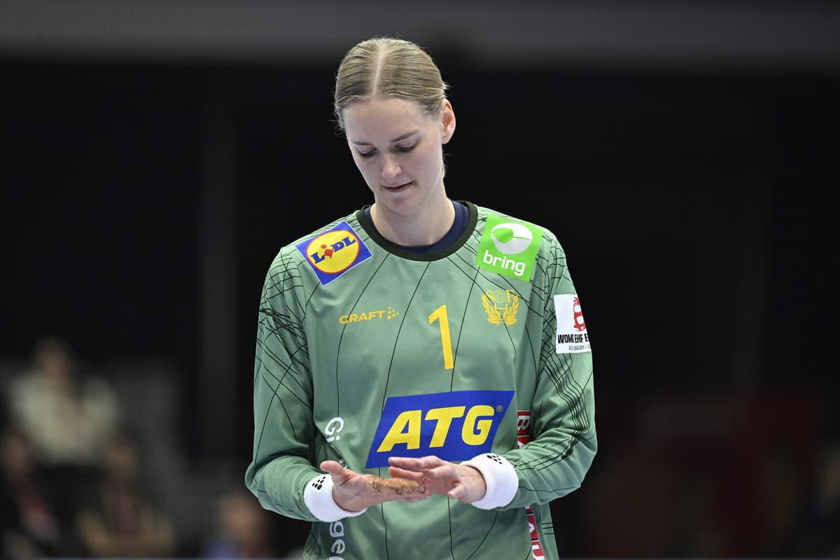 German Handball Champion Ludwigsburg Files for Bankruptcy