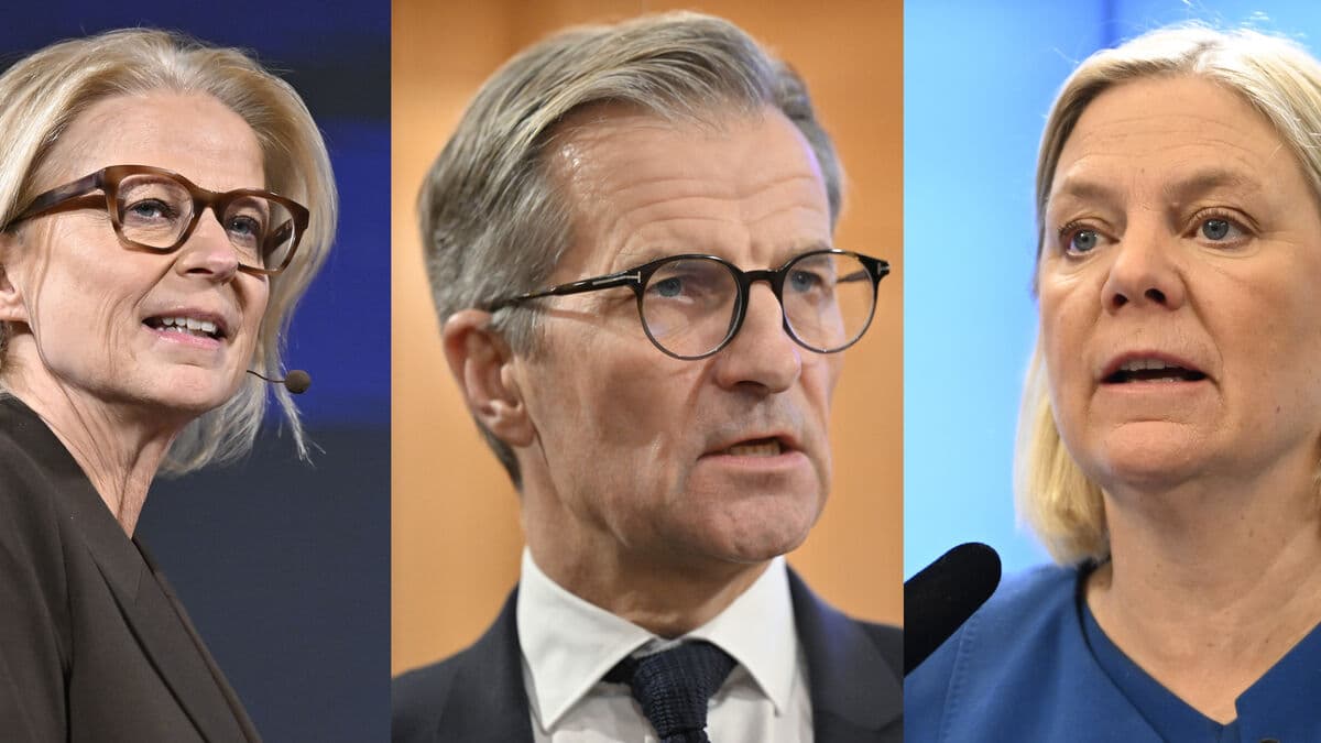 Thedéen Defends Banks Amid Political Criticism Over Mortgage Rates