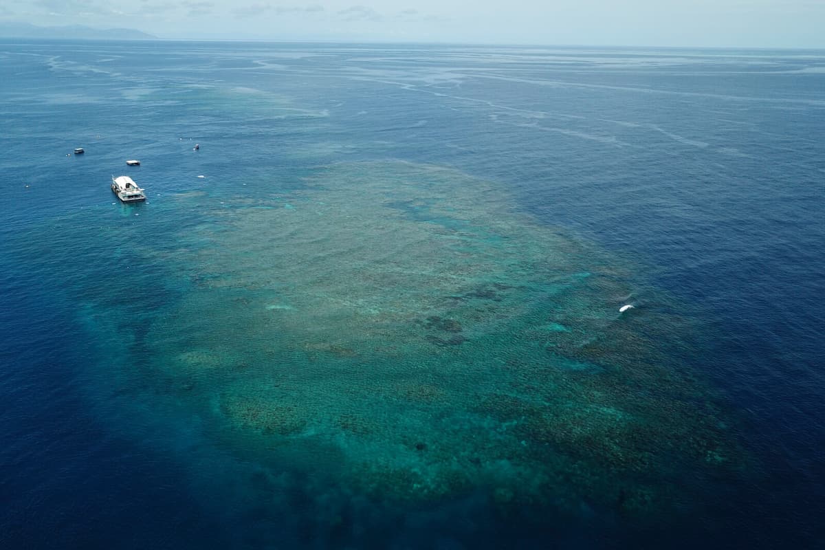 Great Barrier Reef Faces Worst Coral Bleaching on Record