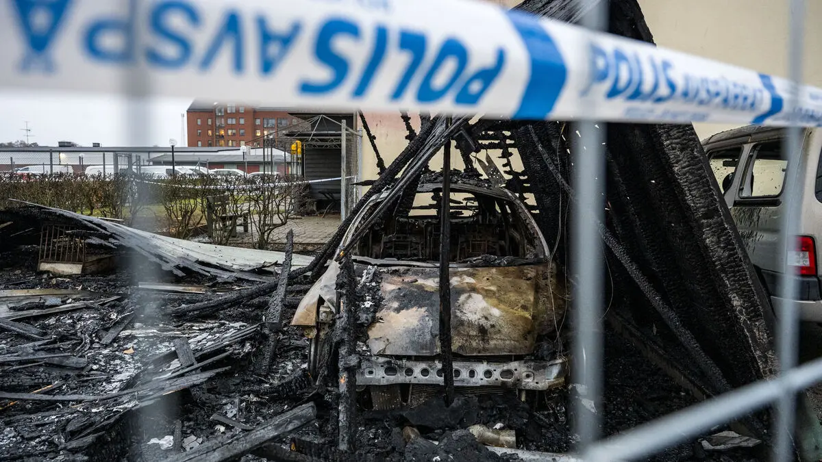 Expo: Violent 764 network is escalating, says researcher