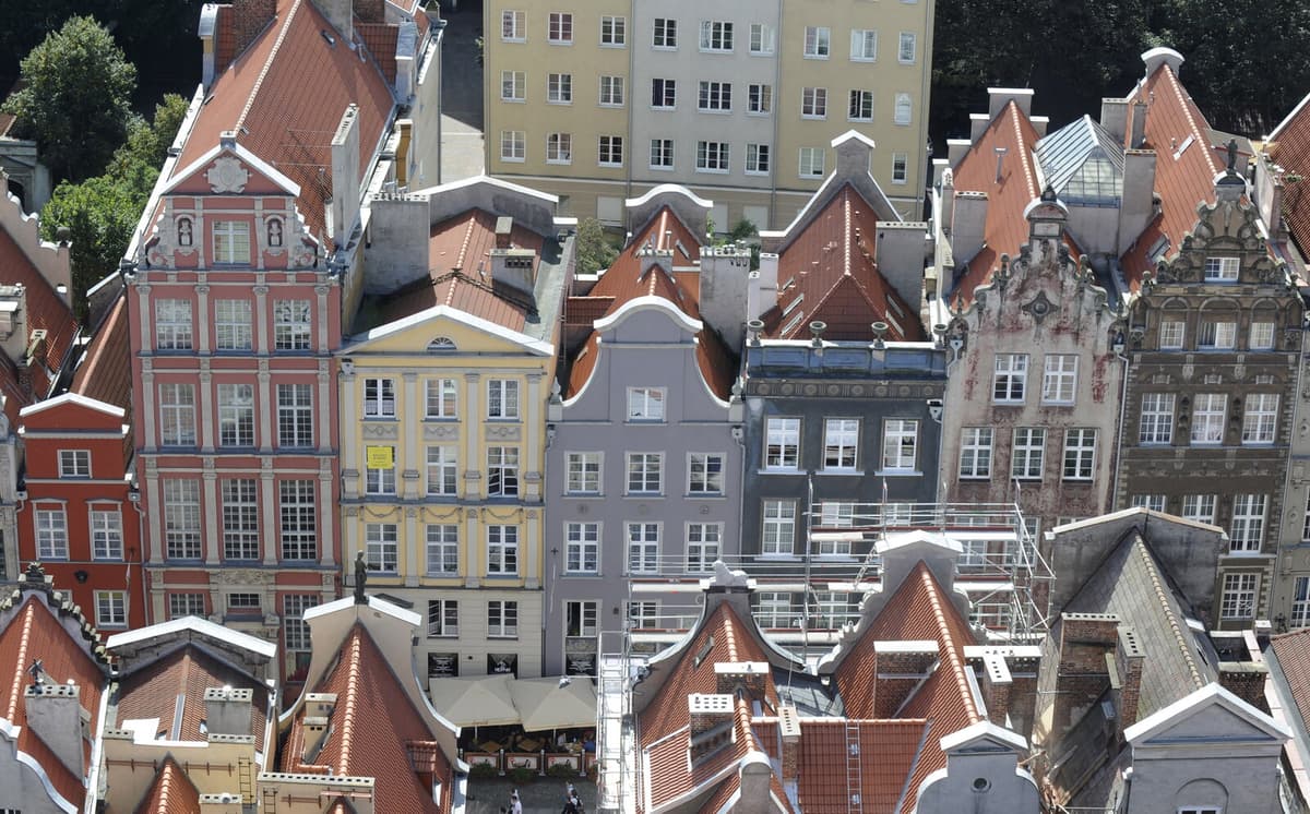 Medieval Knight Skeleton Unearthed Beneath Gdańsk Bar