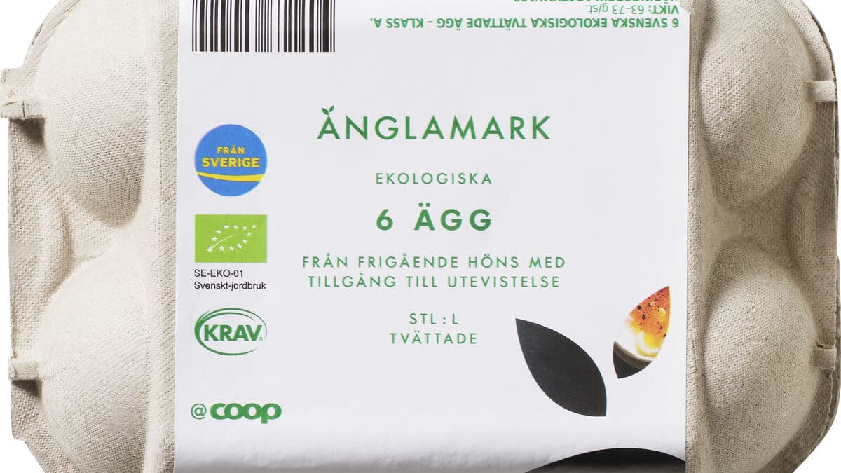 Egg Recall Expands Over Salmonella Concerns in Organic Brands