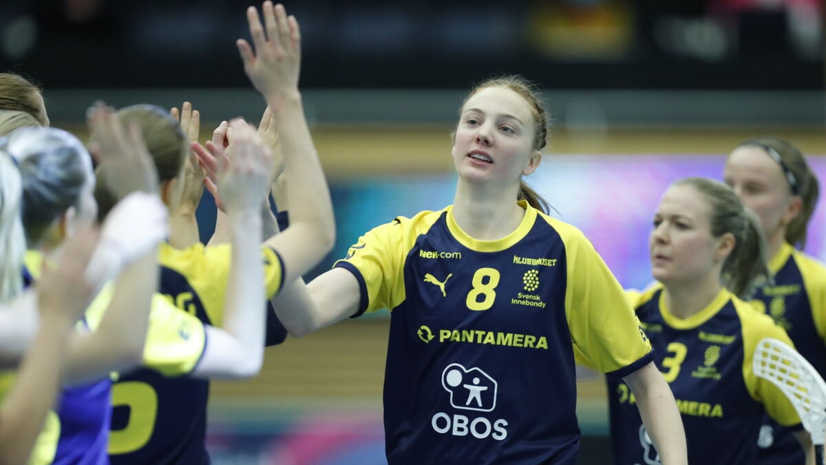 Malmö FBC withdraws from the top league, can't afford it