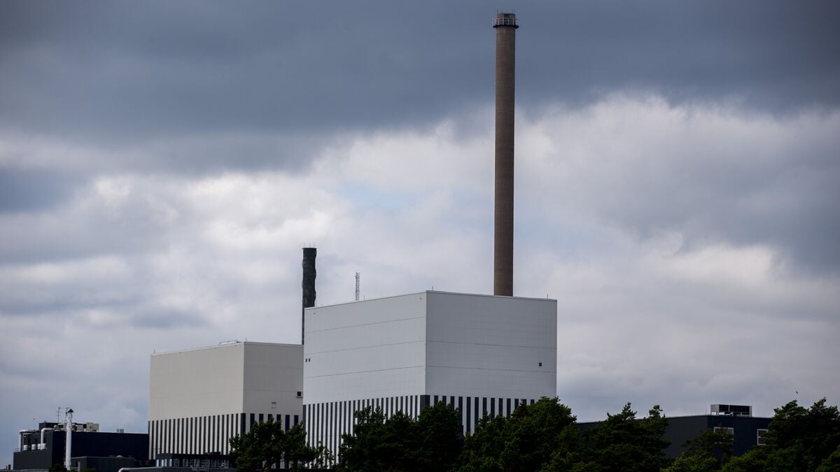 Fish with high levels of PFAS at nuclear power plants