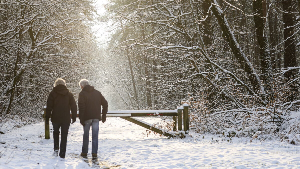 New study: Five minutes of brisk walking a day can extend life