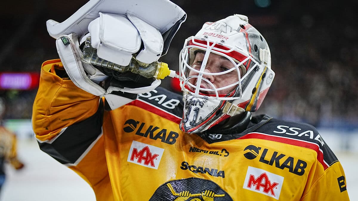 Reigning champion Luleå through to SM playoffs, faces Skellefteå in emotionally charged semifinal matches