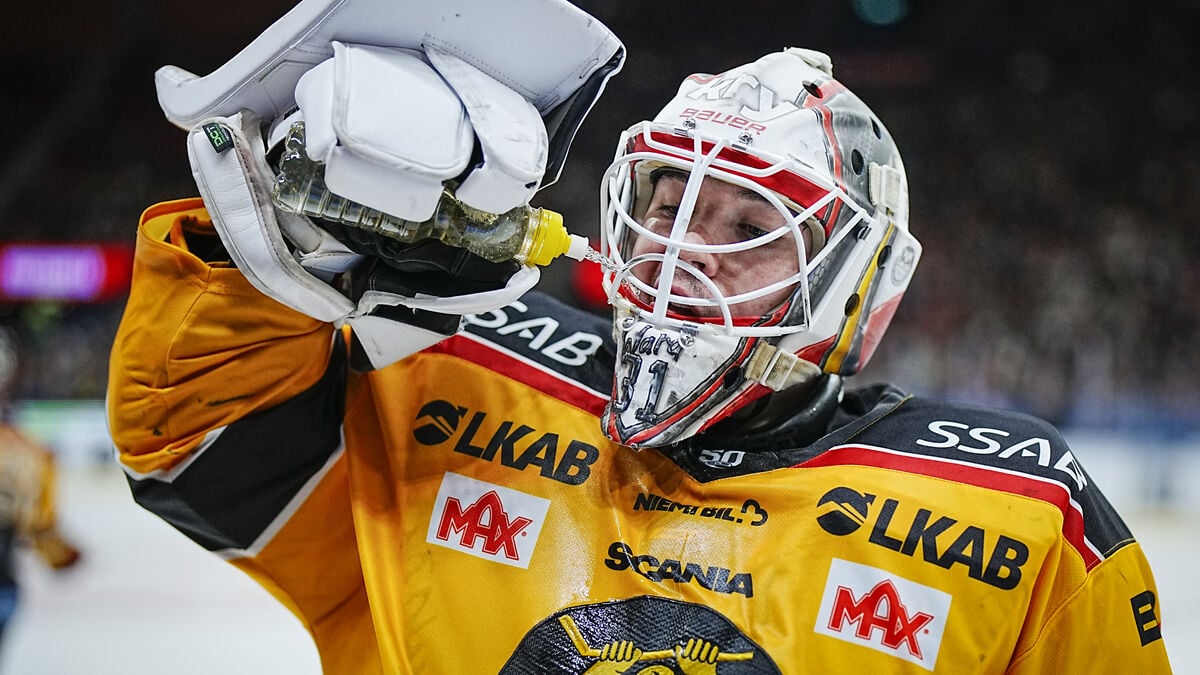 Reigning champion Luleå through to SM playoffs, faces Skellefteå in emotionally charged semifinal matches