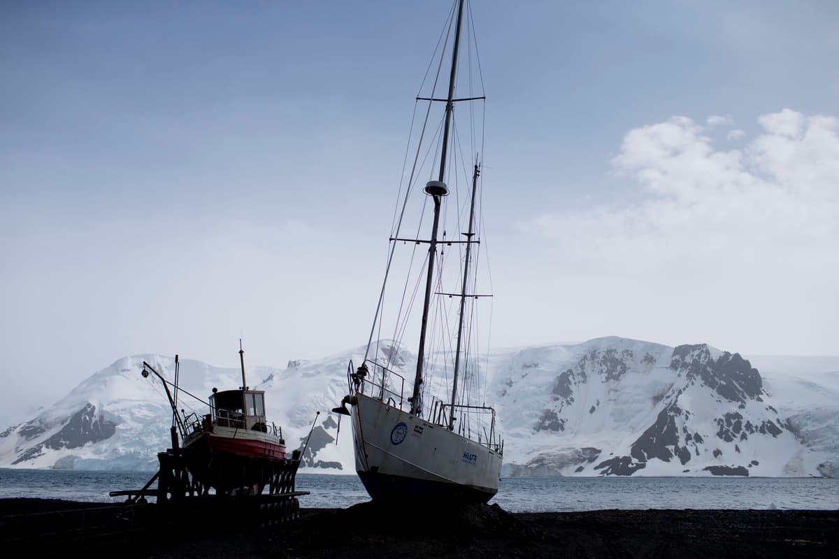 Tourists and Research Projects Significantly Pollute Antarctica