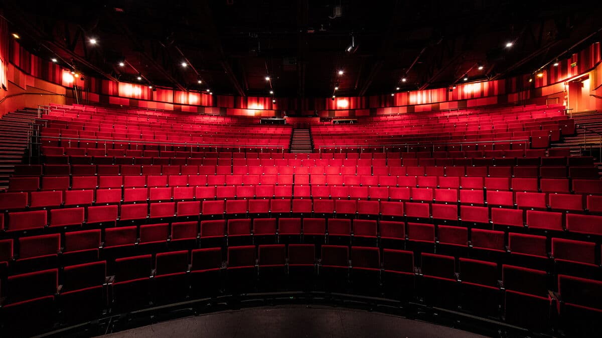 Record audiences but fewer people taking part in Swedish performing arts