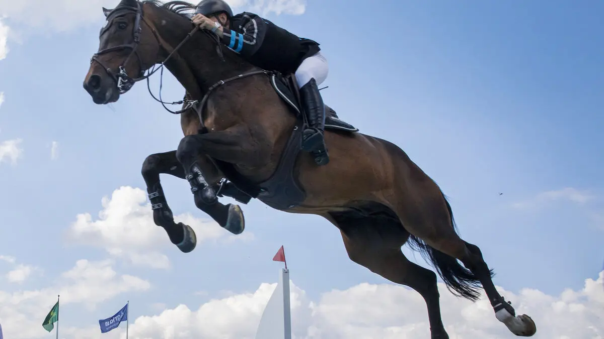 The storm in equestrian sports: destructive leadership