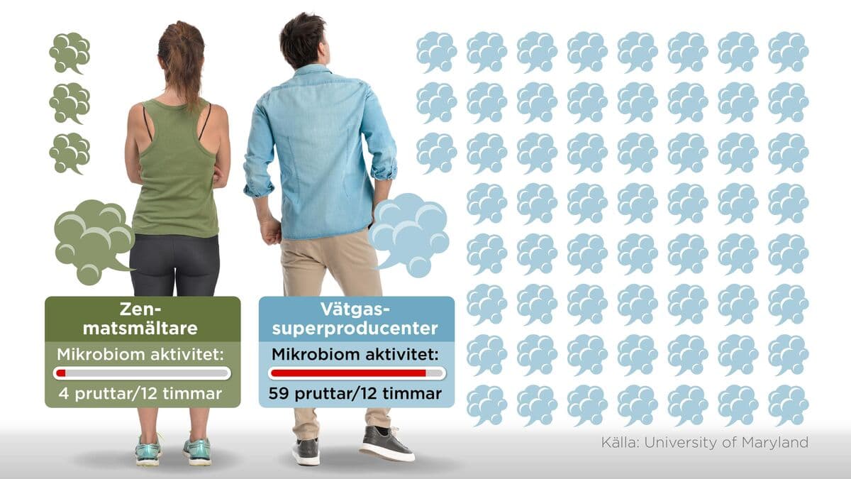 Fisbyxa will provide answers to a difficult gas mystery