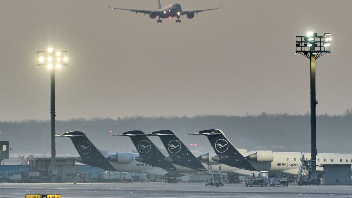New malaria death in Frankfurt as airport-linked outbreak grows