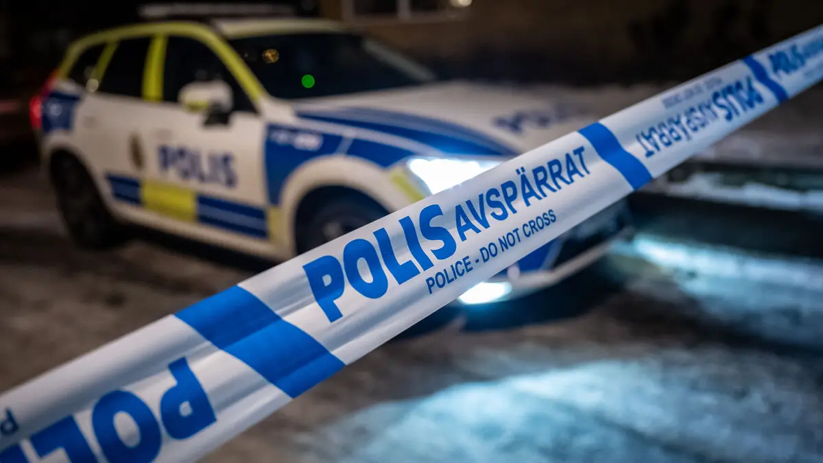 Fewer assault crimes in Sweden as fraud increases