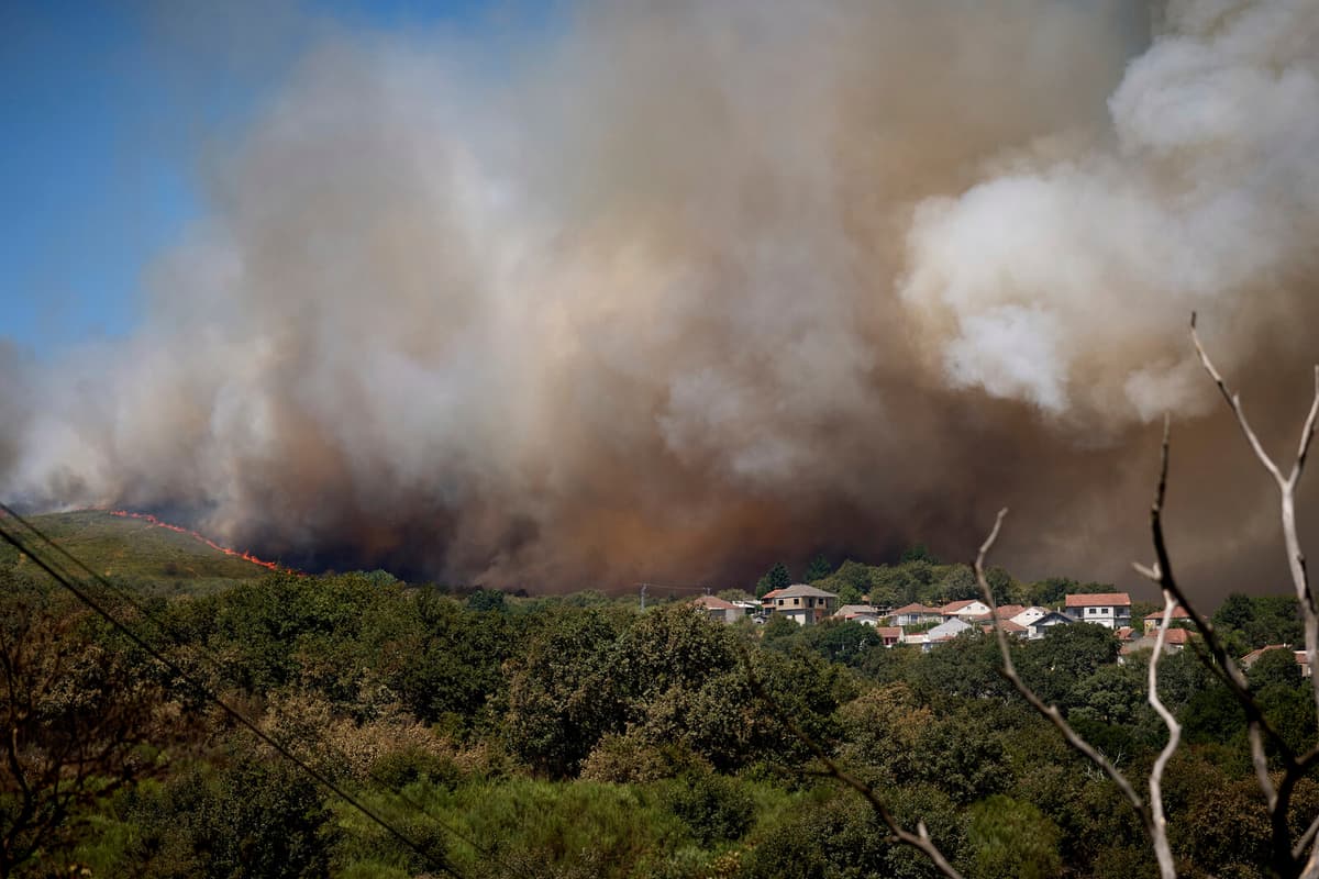 Smoke from Forest Fires Threatens Europe's Vineyard Flavors