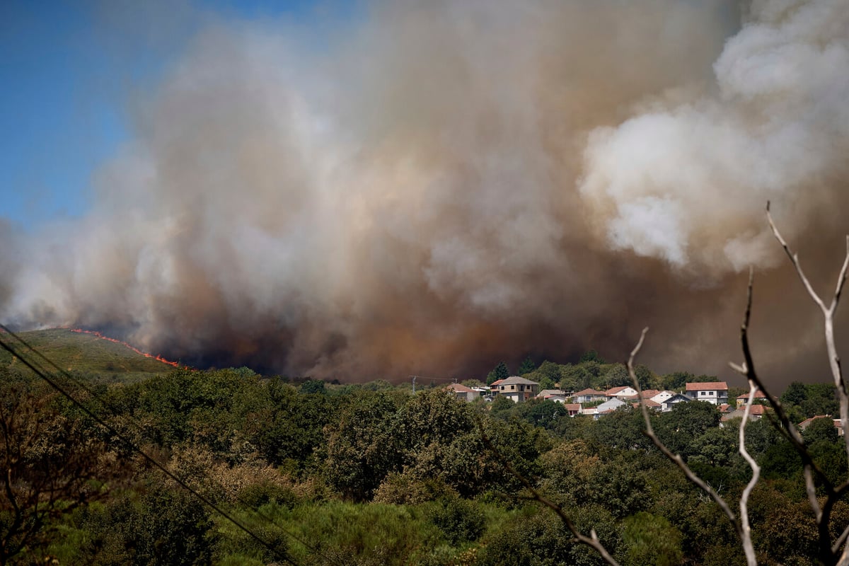 Smoke from Forest Fires Threatens Europe's Vineyard Flavors