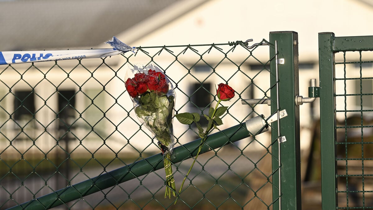 Svea Court of Appeal acquits CEO again after murder of LSS resident