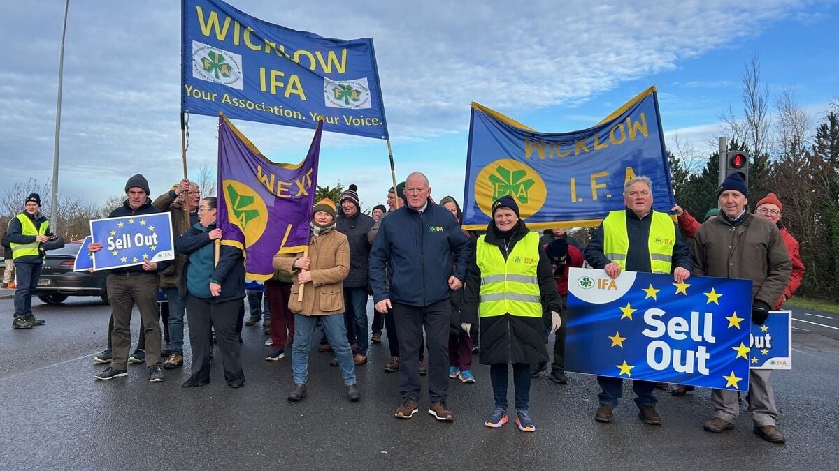 Thousands of Irish farmers protest EU-Mercosur trade agreement