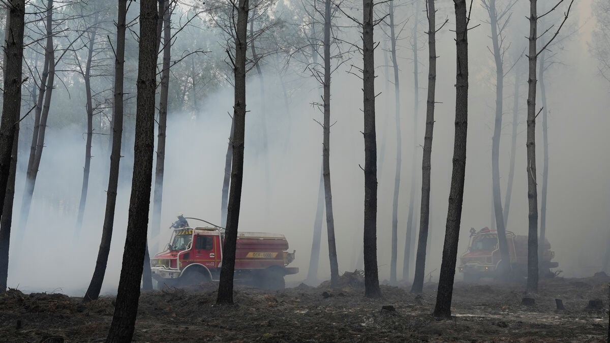 Residents allowed to return home as Gironde wildfire outside Bordeaux eases