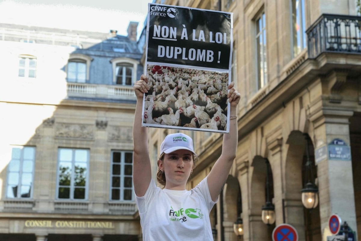 France's Constitutional Council Blocks Controversial Pesticide Law