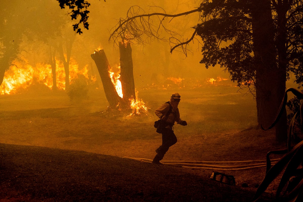 Right-Wing Voters Show Lower Trust in Climate Researchers Globally