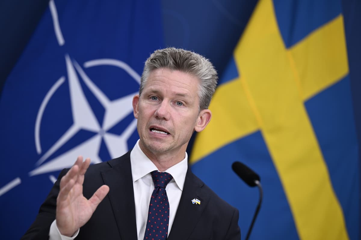 Defense Minister: Sweden Ready to Defend NATO Allies