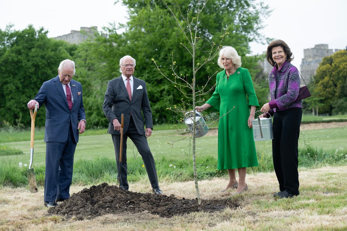 King Carl XVI Gustaf Gifts Oak Tree to King Charles at Windsor Castle