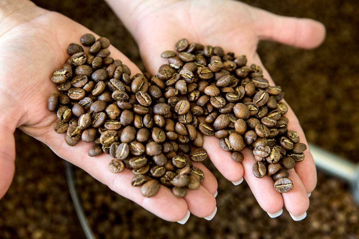 Tough times for coffee roasters – costs nearly double