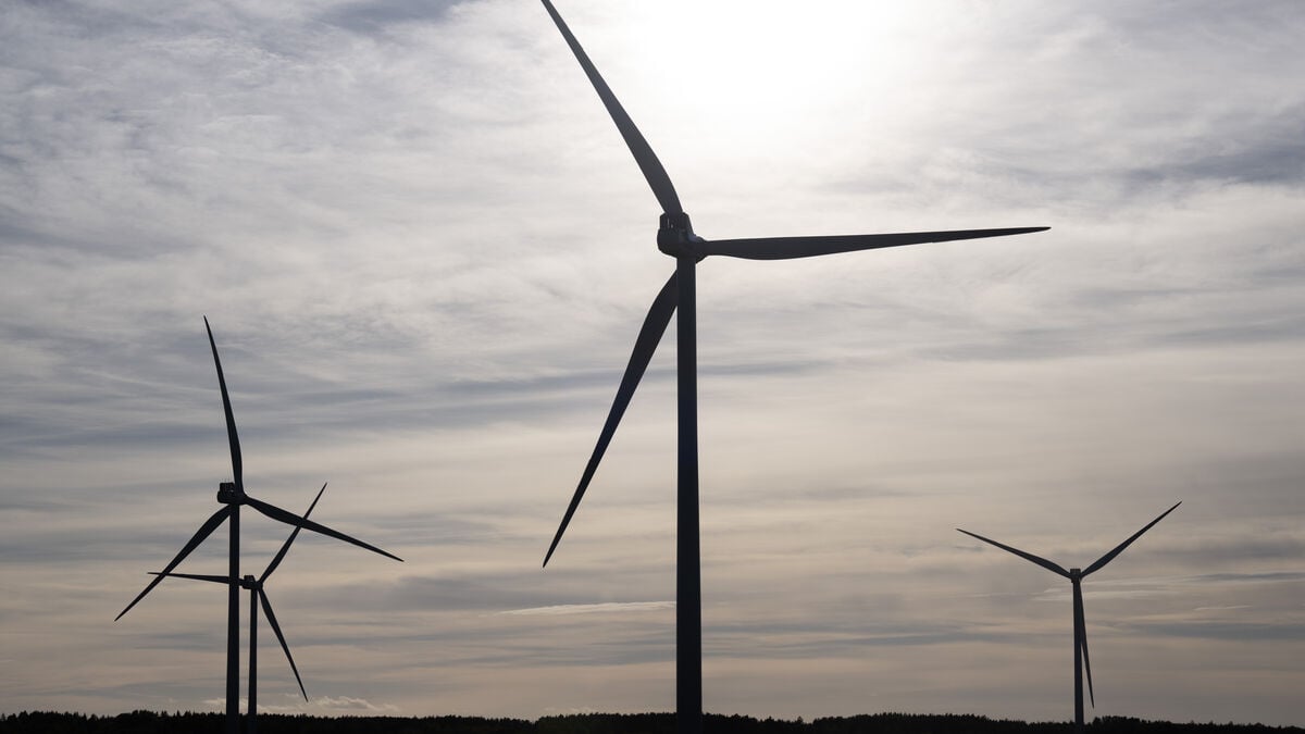 Data centres could revive Sweden’s wind power industry, says Green Power Sweden chief