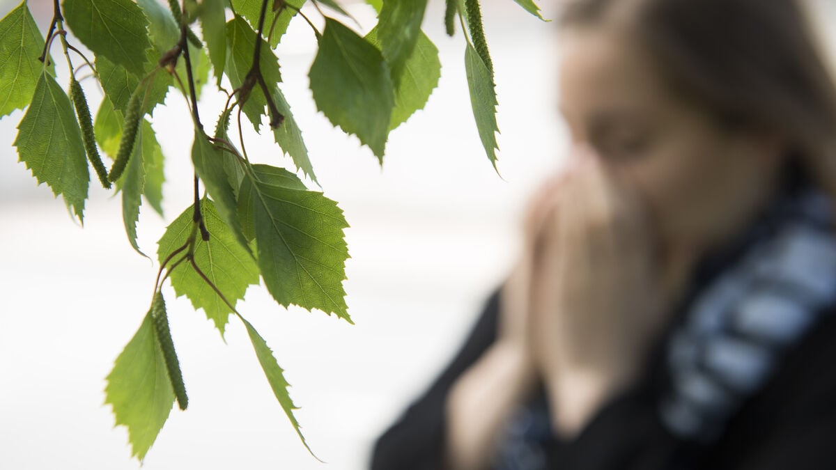 New guidelines recommend treating more people with severe allergies