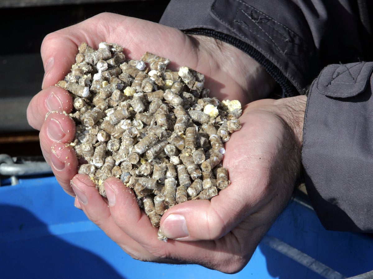 Recycled Plastic Pellets Found to Contain Toxic Chemical Mixtures
