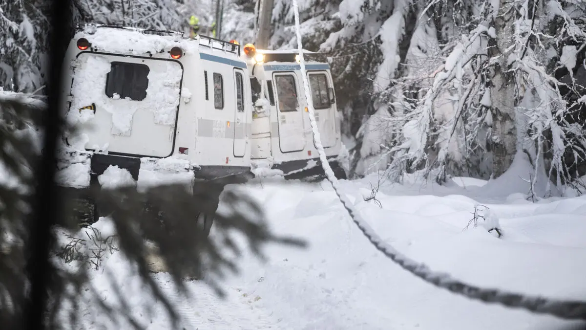 Long power outages in recent weeks - worst since Storm Gudrun