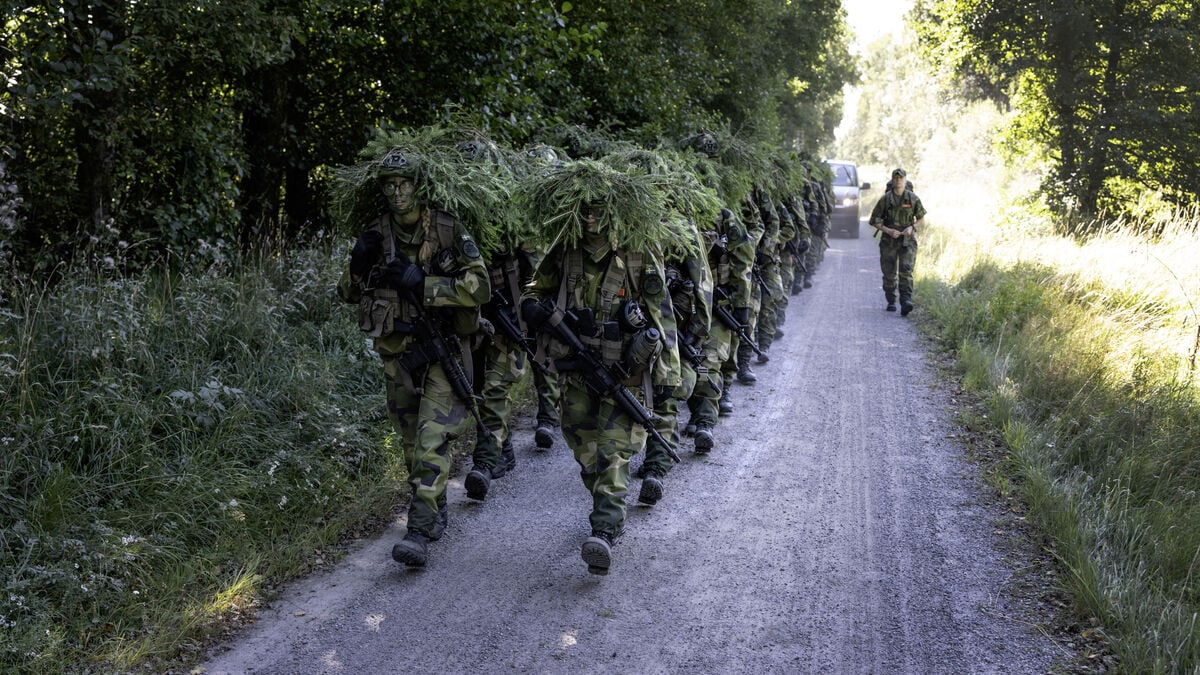 More Than 8,800 Young People to Begin Military Training in Sweden This Year