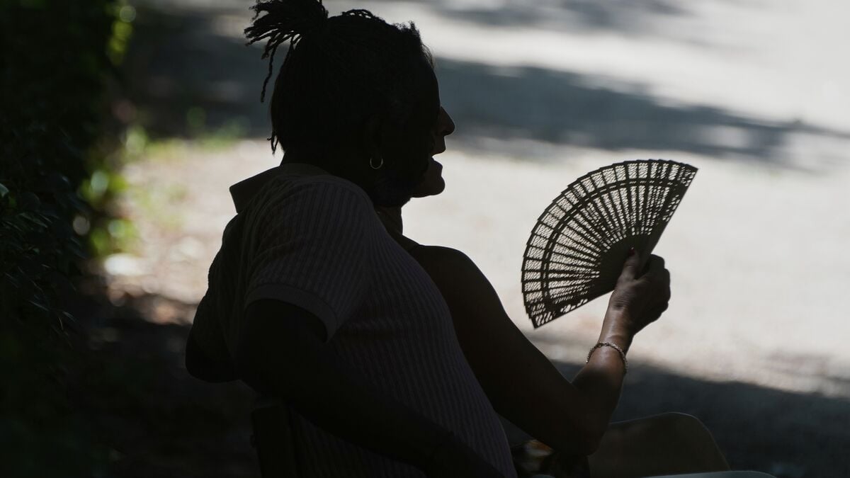 Record heat hits Slovakia and Austria as Central Europe heatwave intensifies