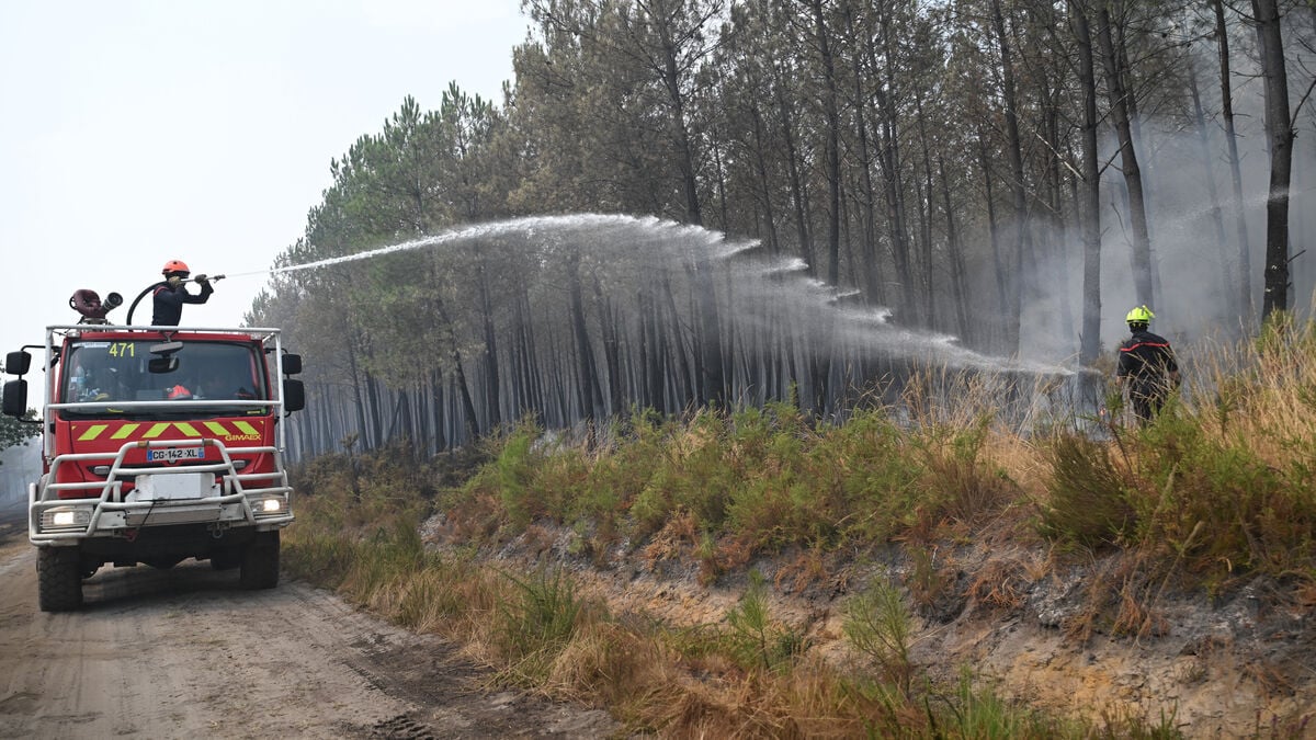 France fires: 162 arrested on suspicion of arson this year
