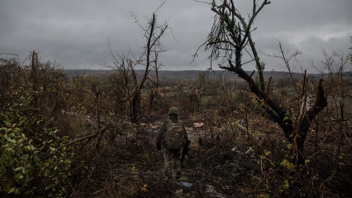 Donbass – precious treasure in Putin's "new Russia"