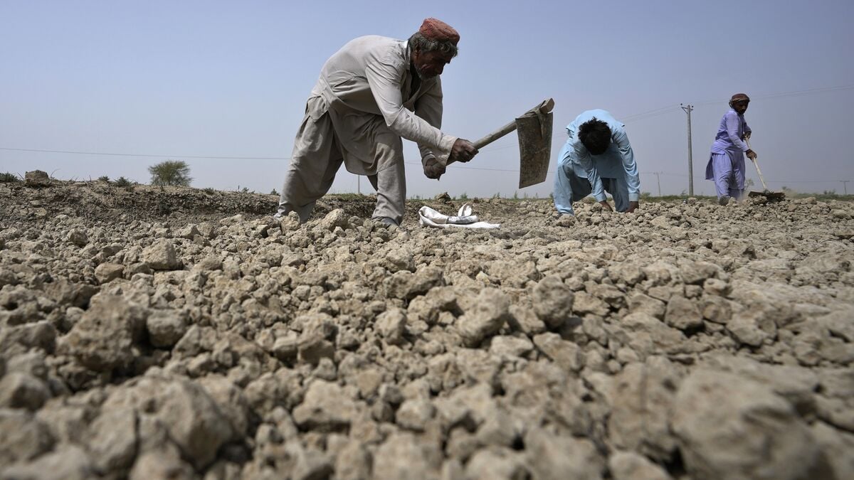 Over 200 dead in violence in Pakistan's Balochistan