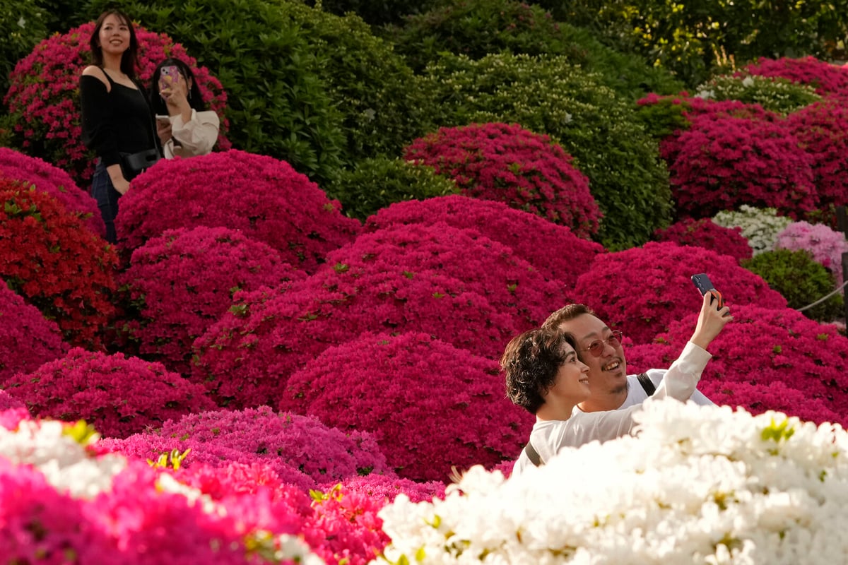 Japan Sets Tourist Record - Attracts increasing number of tourists