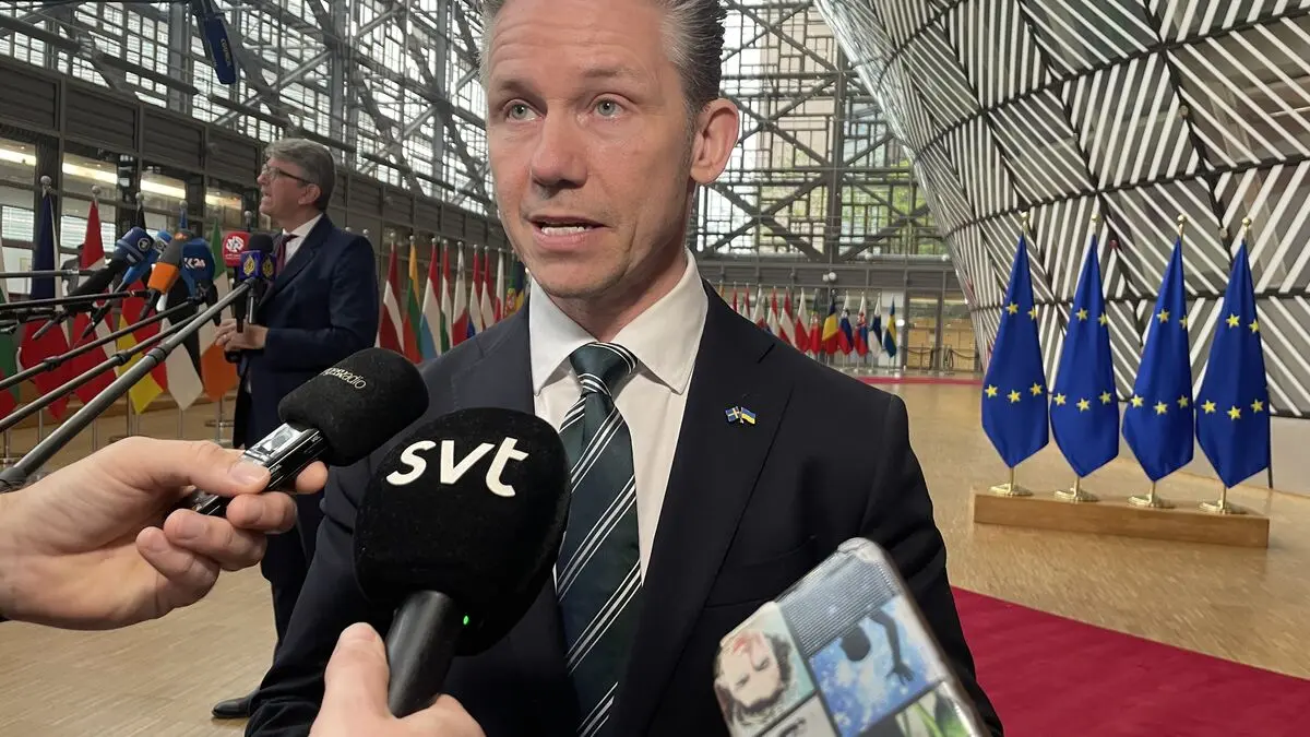 Pål Jonson: EU army not realistic
