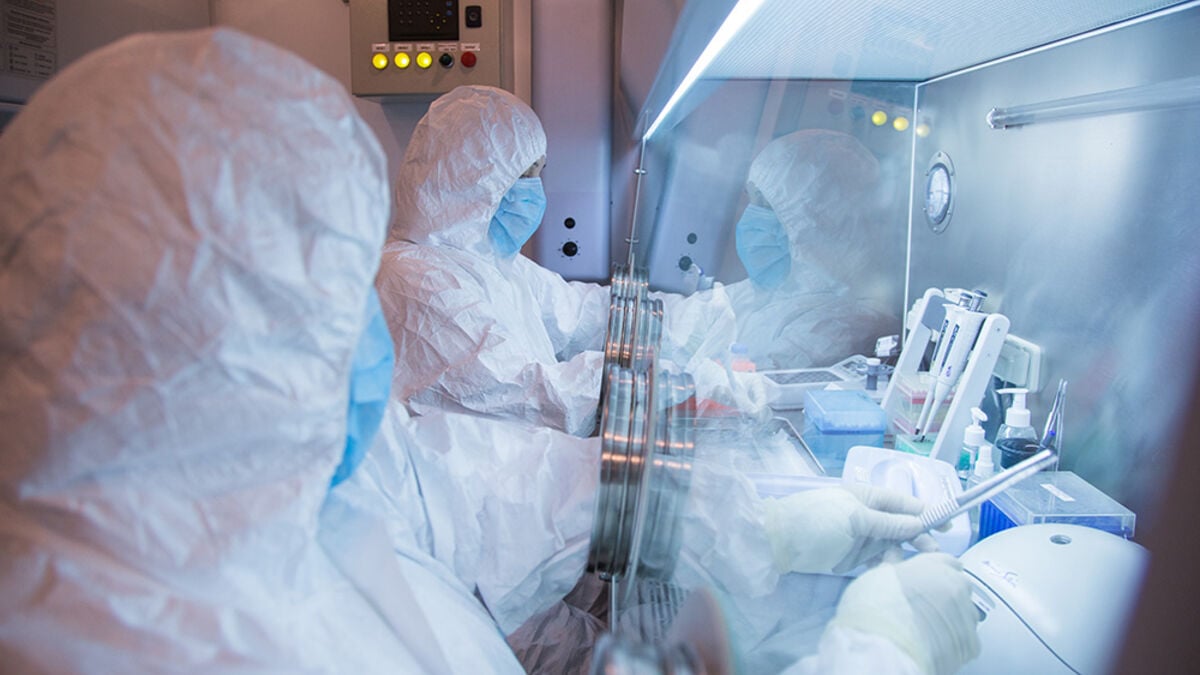 WHO Says Risk of Plague Infection Is Low After Suspected Case in Siberia