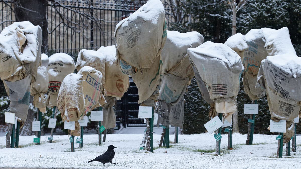 Death toll rises to seven after snowstorm and avalanches in Austria