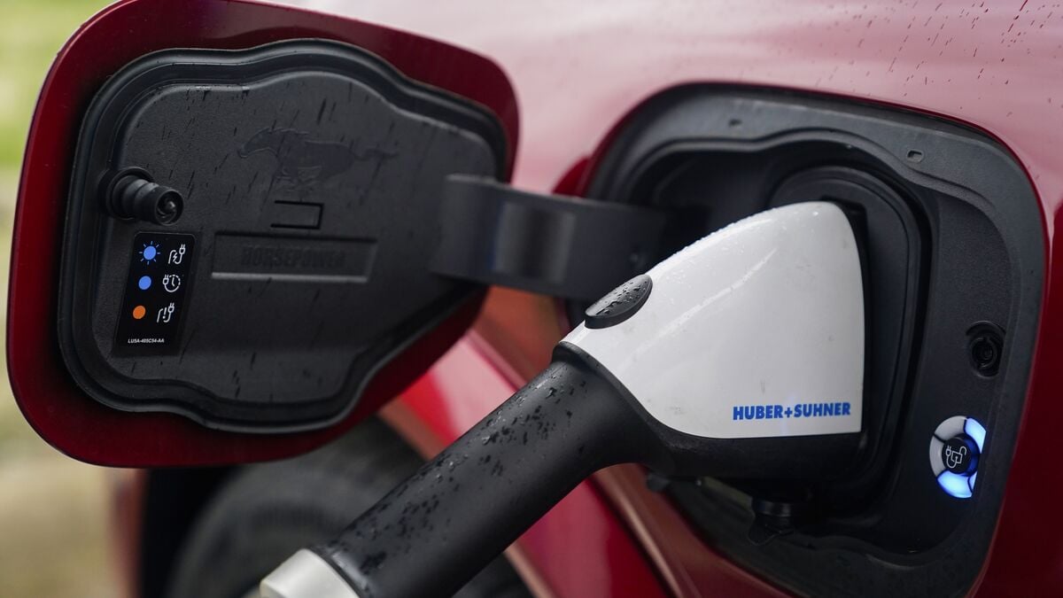 Huge blow when Ford cuts electric car investment