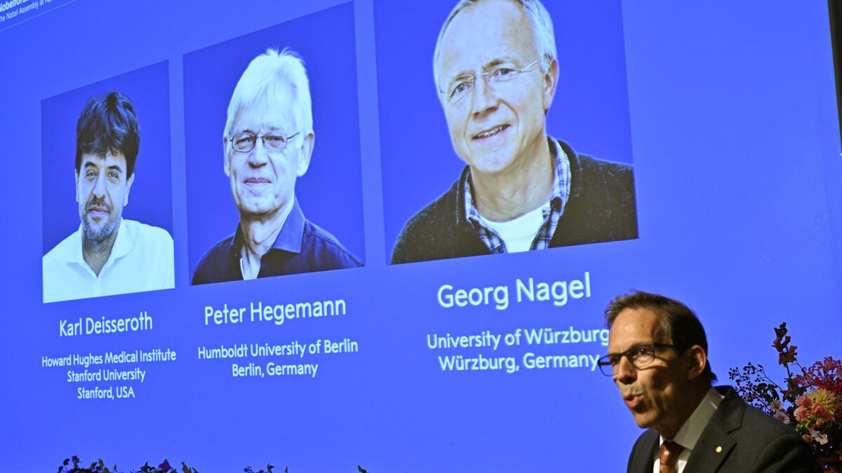 Three researchers win Nobel Prize for discovery that lets scientists control brain cells with light