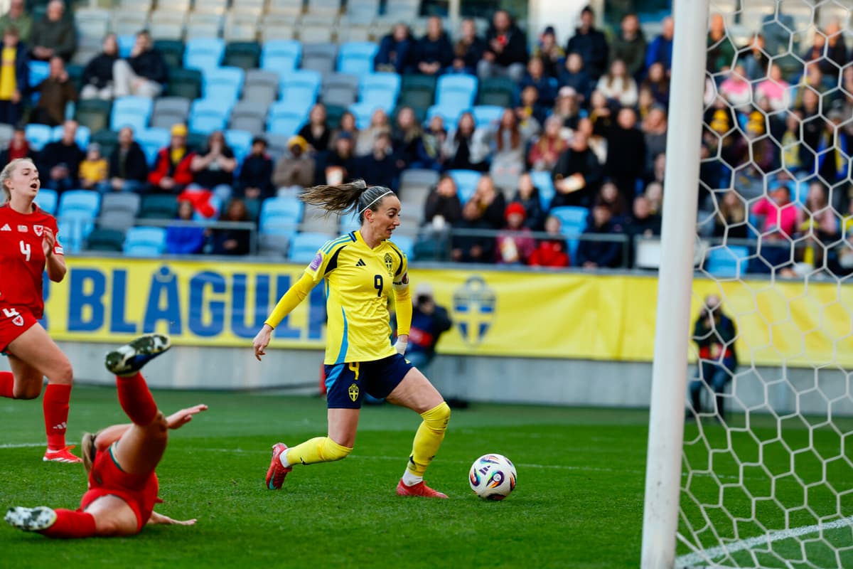 Asllani Reflects on Missed Goal in Sweden's Draw with Wales
