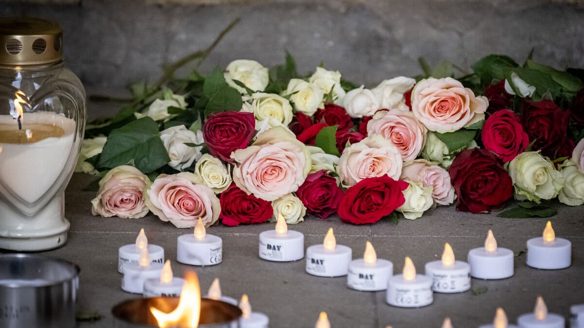 Another woman arrested after fatal shooting in Rosengård, Malmö