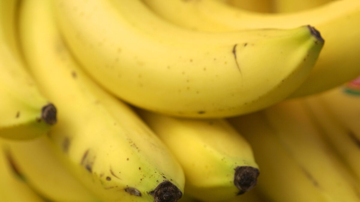 Authorities warn: Don't eat uncooked bananas