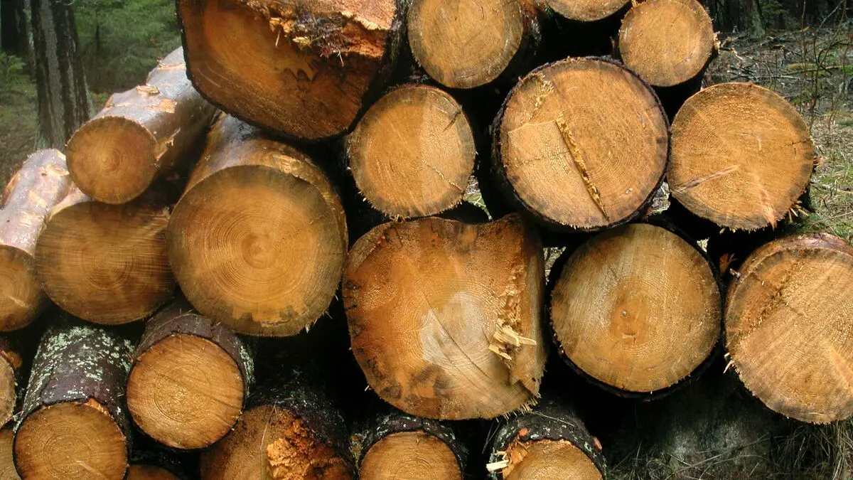 Nestlé stops buying wood raw materials from northern Sweden