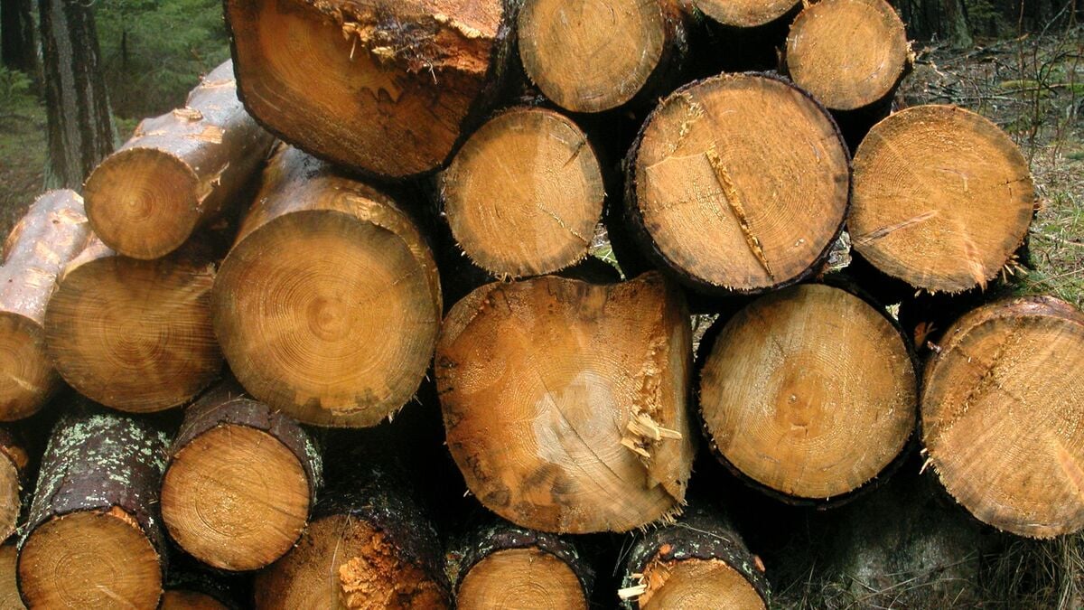 Nestlé stops buying wood raw materials from northern Sweden