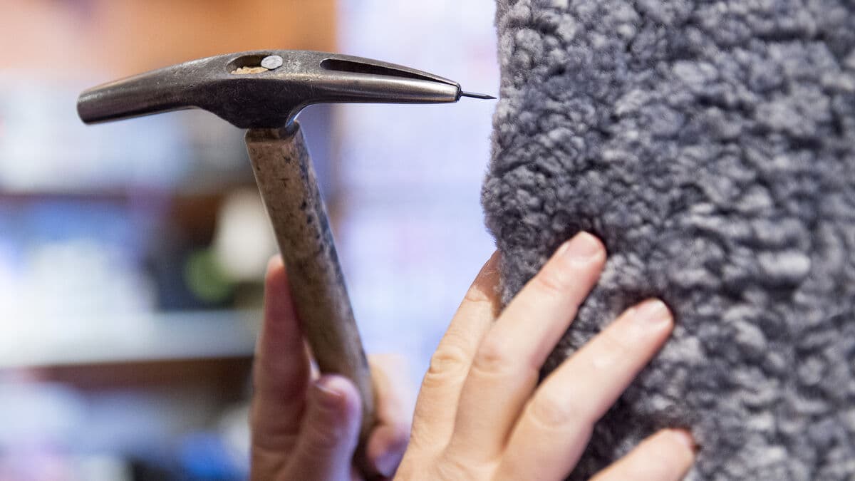 Small Businesses Face Economic Struggles but Hope for 2026 Recovery