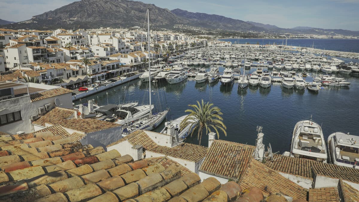 Two Swedish men sentenced after scamming fellow Swedes of 32 million kronor in real estate